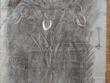 a drawing of a plant on a piece of paper on a table