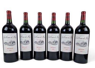 six bottles of red wine are lined up on a white surface