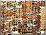 many butterflies that are on display in a display case