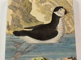a picture of a bird that is sitting in the water