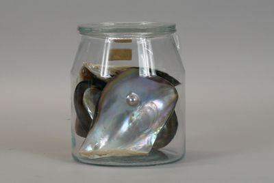 a glass jar filled with aba aba aba aba aba aba aba aba aba aba aba aba aba aba aba aba aba aba aba aba aba aba aba aba aba