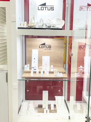 a glass display case with lots of items in it