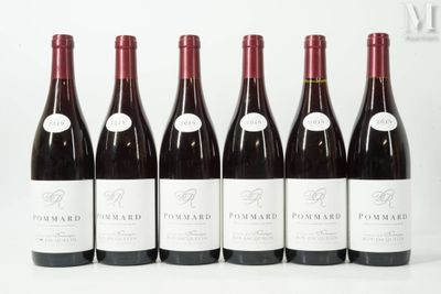 six bouteilles de vin rouge sont alignées sur une surface blanche