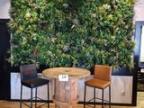 two chairs and a table in front of a wall of plants