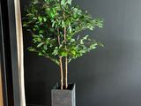 a plant that is sitting in a planter on the floor