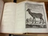 un livre ouvert sur lequel figure l'image d'un cerf