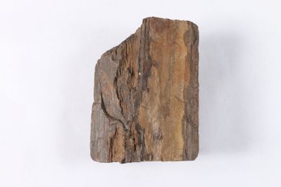 une image représentant un morceau de bois posé sur une surface blanche