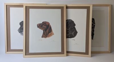 trois photos encadrées représentant un chien et un chat sur un fond blanc