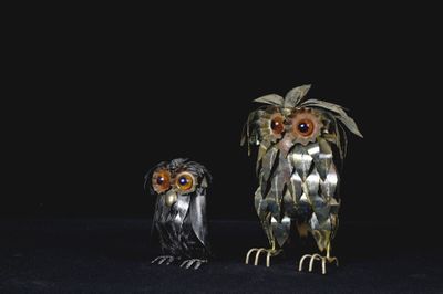 deux chouettes qui se tiennent l'une à côté de l'autre