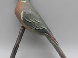 un petit oiseau perché sur un bâton en bois