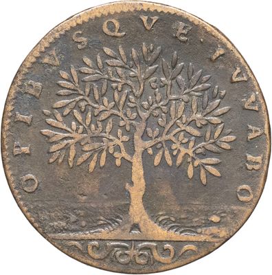 un gros plan d'une pièce de monnaie sur laquelle figure un arbre