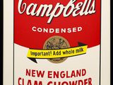 campbell ' s condensed new england clam chowder soup