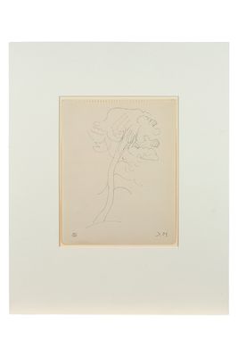 un dessin représentant un arbre avec des feuilles, dans un cadre blanc