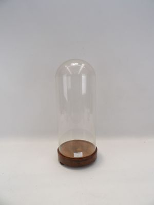 un dôme en verre transparent reposant sur un socle en bois, posé sur une surface blanche