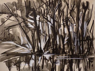 un dessin en noir et blanc représentant des plantes dans l'eau
