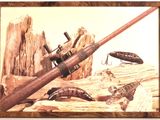 a picture of a painting of a gun and a bug