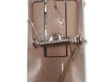 a mousetrader with a piece of wood in it