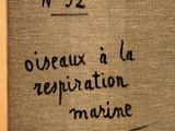Photo 6/16 du lot