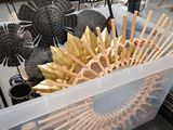 un récipient en plastique contenant beaucoup de bâtonnets