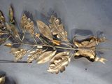a gold leaf brooch on a blue cloth