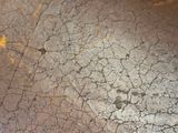 a close up view of the cracked surface of a concrete floor