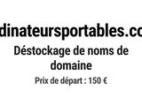 Photo 1/1 du lot