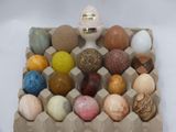 eggs in a carton with a ring on top of them