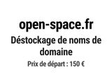 Photo 1/1 du lot