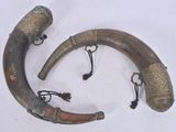 two horns that are sitting next to each other on a table