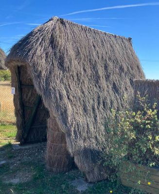 une petite cabane au toit de chaume, au milieu de l'herbe