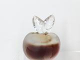 une pomme en verre surmontée d'une feuille en cristal