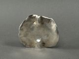 a silver object that is sitting on a table
