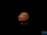 an oplite is shown in the dark with a black background