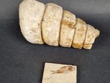 an image of a small piece of stone next to a small piece of wood