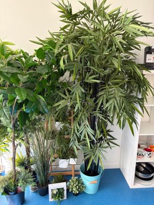 de nombreuses plantes en pot posées sur une table bleue dans une pièce
