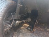 a dog that is standing underneath a truck tire