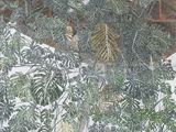 Photo 1/2 du lot