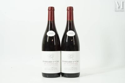 deux bouteilles de vin rouge posées l'une à côté de l'autre sur une surface blanche