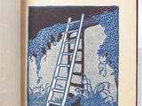 a book that has a picture of a ladder on it