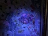 a picture of a painting of flowers lit up in the dark