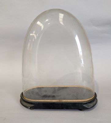 a glass clochet with a wooden base on a white background