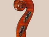 a close up of the back of a violin with a scroll