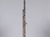 a silver flute on a clear stand with a white background