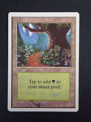 a close up of a card with a picture of a tree