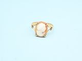 a close up of a ring with a shell on it