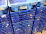 several blue plastic containers stacked on top of each other in a warehouse