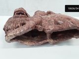 a close up of a clay sculpture of a fish