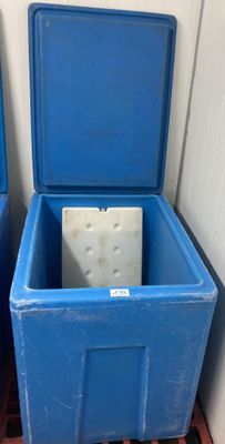 deux poubelles bleues posées l'une à côté de l'autre sur le sol