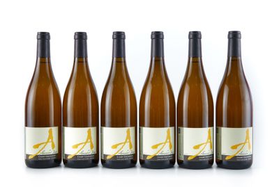 six bouteilles de vin blanc alignées