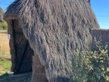une petite cabane au toit de chaume, au milieu de l'herbe
